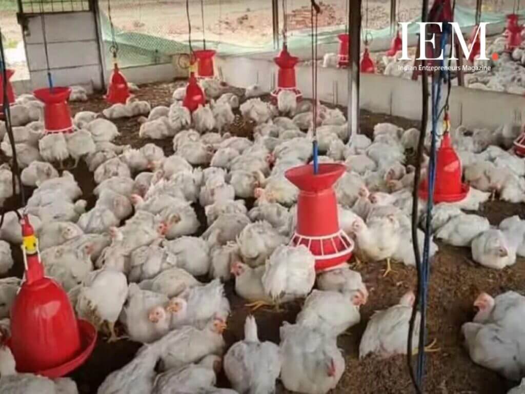 how to start a poultry business in India