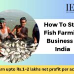 how to fish farming business in India