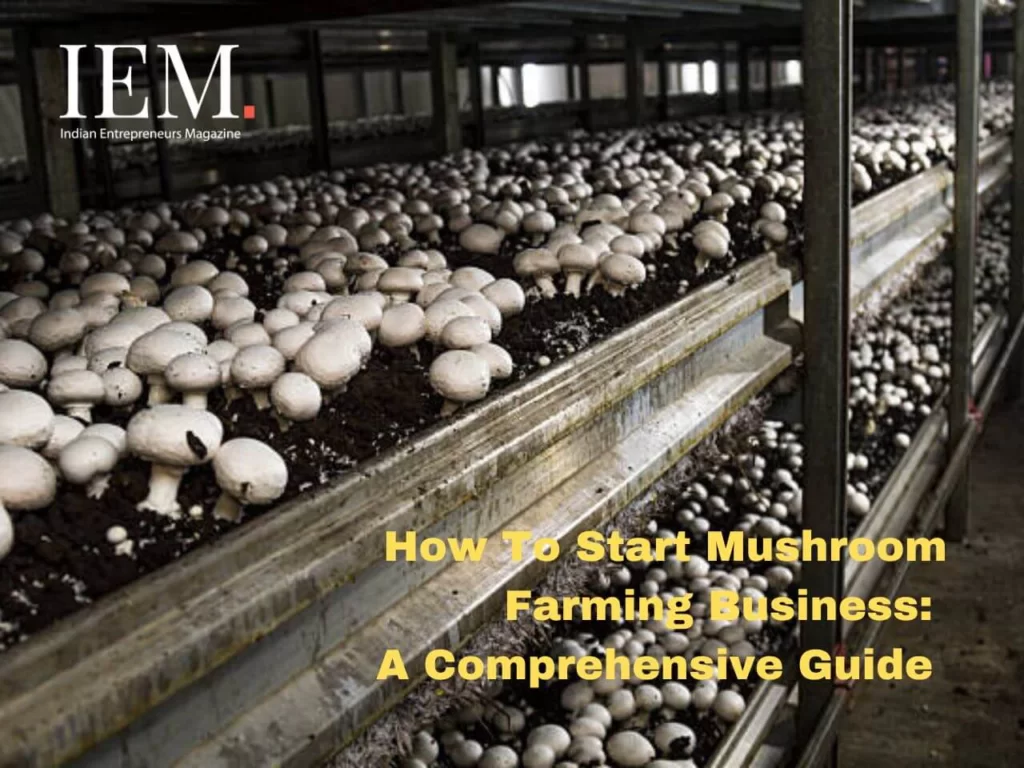mushroom farming business in India
